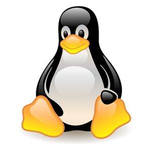 Tux The Linux Penguin